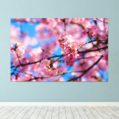 Prachtige roze Sakura en blauwe lucht van de lente Canvas Afdruk (Insitu (Houten vloer))