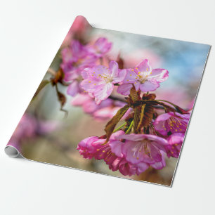 Prachtige roze Sakura Flowers Cadeaupapier
