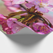 Prachtige roze Sakura Flowers Cadeaupapier (Hoek)