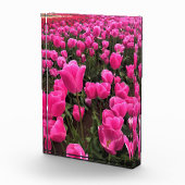 Prachtige roze tulpen, Oregon Fotoblokken (Rechts)