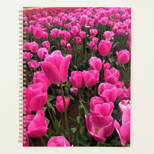 Prachtige roze tulpen, Oregon Planner (Voorkant)