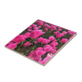 Prachtige roze tulpen, Oregon Tegeltje (Zijkant)