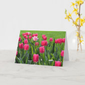 prachtige roze tulptiel met bloemen gefeliciteerd  kaart (Gele Bloem)