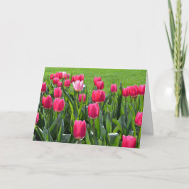 prachtige roze tulptiel met bloemen gefeliciteerd kaart