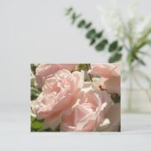 Prachtige Rozen Briefkaart (Staand voorkant)