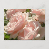 Prachtige Rozen Briefkaart (Voorkant)