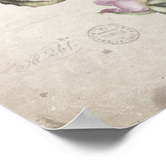 Prachtige  rozen poster (Hoek)