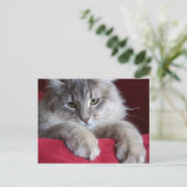 prachtige rozijnen - Briefkaart 4 (Staand voorkant)