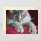 prachtige rozijnen - Briefkaart 4 (Voorkant / Achterkant)