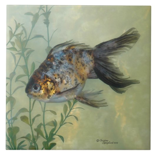 Prachtige Ryukin Calico Goldfish Tile Tegeltje (Voorkant)