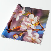 Prachtige Sakura Blossom Cadeaupapier (Uitgerold)