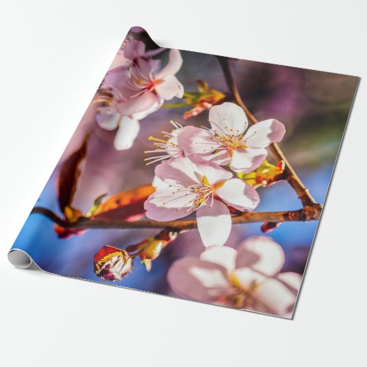Prachtige Sakura Blossom Cadeaupapier (Uitgerold)