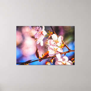 Prachtige Sakura Blossom Canvas Afdruk