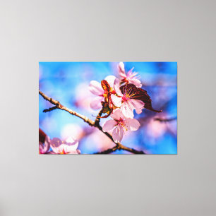 Prachtige Sakura Blossom Canvas Afdruk