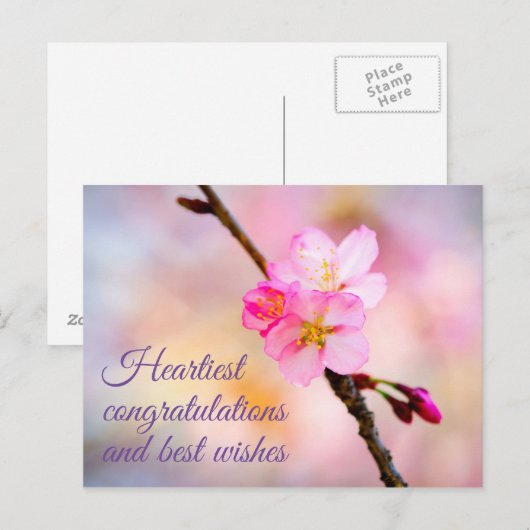 Prachtige Sakura Cherry Blossoms Briefkaart (Voorkant / Achterkant)