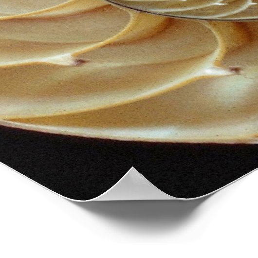 Prachtige schelp van Nautilus Poster (Hoek)