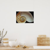 Prachtige schelp van Nautilus Poster (Keuken)