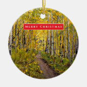 Prachtige Schilderachtig Aspen Tree Grove Keramisch Ornament (Voorkant)