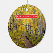 Prachtige Schilderachtig Aspen Tree Grove Keramisch Ornament (Links)