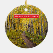 Prachtige Schilderachtig Aspen Tree Grove Keramisch Ornament (Achterkant)