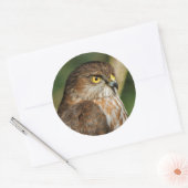 Prachtige shap-Shinned Hawk komt uit A-Callin' Ronde Sticker (Envelop)