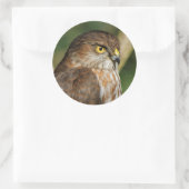 Prachtige shap-Shinned Hawk komt uit A-Callin' Ronde Sticker (Tas)