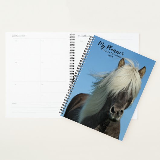 Prachtige Shetland Pony Planner (Display)