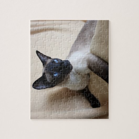 Prachtige Siamese Cat Face Legpuzzel (Verticaal)