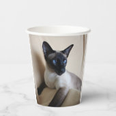 Prachtige Siamese Cat Face Papieren Bekers (Achterkant)