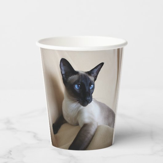 Prachtige Siamese Cat Face Papieren Bekers (Achterkant)