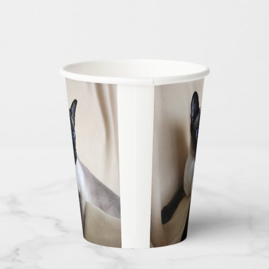 Prachtige Siamese Cat Face Papieren Bekers (Rechts)