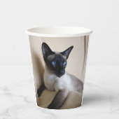 Prachtige Siamese Cat Face Papieren Bekers (Voorkant)