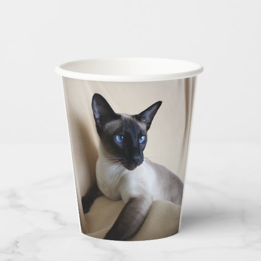Prachtige Siamese Cat Face Papieren Bekers (Voorkant)