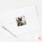 Prachtige Siamese Cat Face Vierkante Sticker (Envelop)