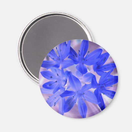 Prachtige Sneeuw Schokkende Blauwe Magneet (Voorkant / Achterkant)