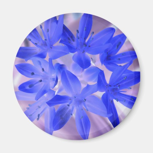 Prachtige Sneeuw Schokkende Blauwe Magneet (Voorkant)