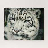 Prachtige Snow Leopard Legpuzzel (Horizontaal)