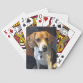 Prachtige speelkaarten voor beagle (Achterkant)