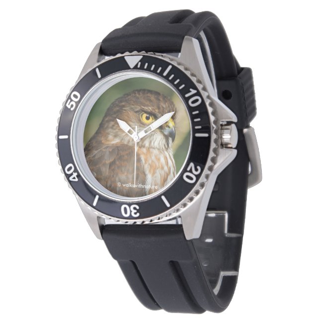 Prachtige Sperwer Komt Op Bezoek Horloge (Gekanteld)