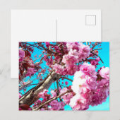 Prachtige Spring Cherry Blossom Digital Painting Briefkaart (Voorkant / Achterkant)