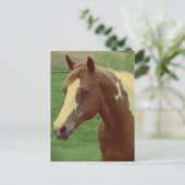 Prachtige Spring Paint Horse Merrie Briefkaart (Staand voorkant)