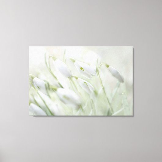 Prachtige Spring White Flowers Canvas Afdruk (Voorkant)