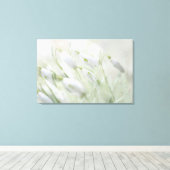 Prachtige Spring White Flowers Canvas Afdruk (Insitu (Houten vloer))