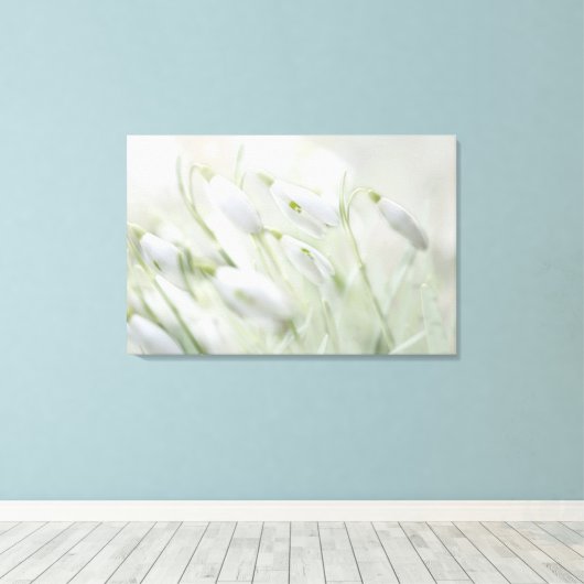 Prachtige Spring White Flowers Canvas Afdruk (Insitu (Houten vloer))