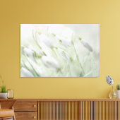 Prachtige Spring White Flowers Canvas Afdruk (Insitu (Woonkamer))