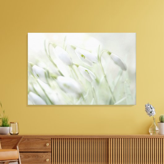 Prachtige Spring White Flowers Canvas Afdruk (Insitu (Woonkamer))