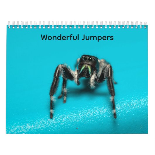 Prachtige Springers Kalender (Hoes)