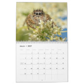 Prachtige Springers Kalender (Mar 2027)
