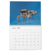 Prachtige Springers Kalender (Jan 2027)