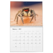 Prachtige Springers Kalender (Feb 2027)